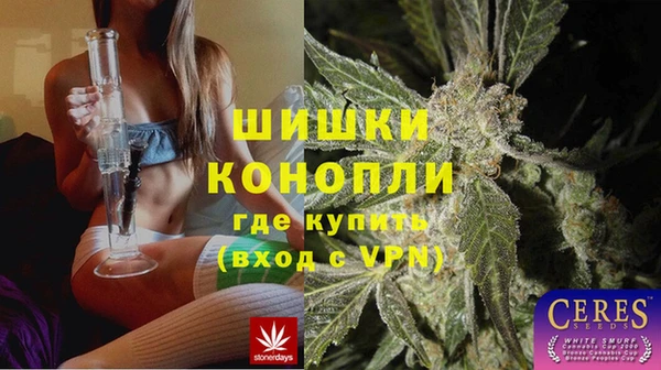 амф Алзамай
