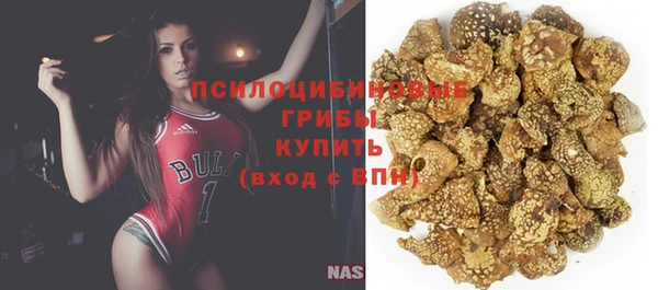 амф Алзамай
