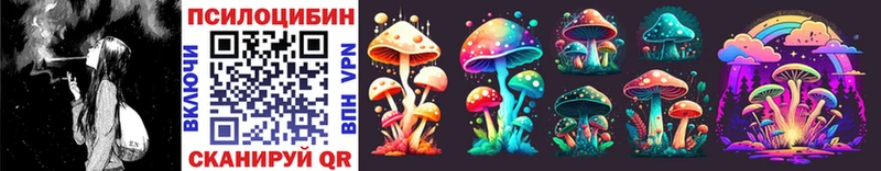 Псилоцибиновые грибы Psilocybe  продажа наркотиков  Артёмовск 